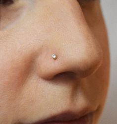 a woman's nose has a tiny diamond on it and is wearing a gold nose ring