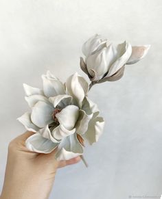 a person holding a white flower in their hand