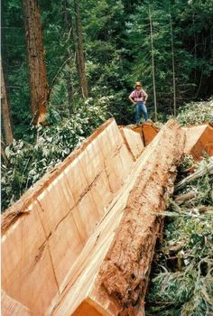 a man standing on top of a wooden ramp in the woods next to a forest