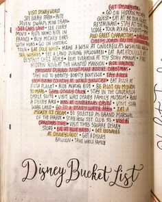 an open notebook with disney's bucket list written on the inside and in different languages