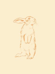 a drawing of a rabbit sitting on its hind legs