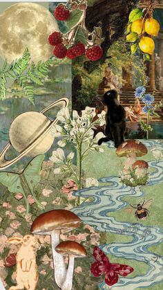 an artistic collage with mushrooms, flowers and other things in the foreground is a black cat sitting on a bench