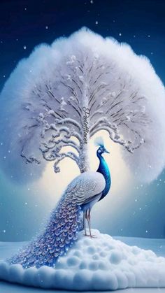 a painting of a peacock standing in front of a tree with snow on the ground