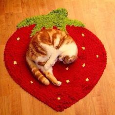 an orange and white cat laying on top of a strawberry rug