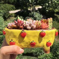 a hand holding up a yellow planter with strawberries and succulents on it