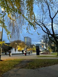 people are walking around in the park at night with lights on and trees lining the walkway