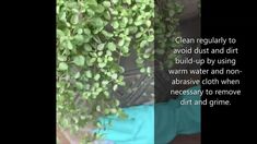 green plants are growing on the side of a building with text overlaying it that reads clean regularly to avoid dust and dirt build - up by using warm water and non -