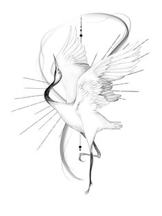 a drawing of a bird with its wings spread out and it's body in the air