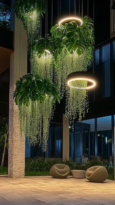 some plants and lights hanging from the ceiling in front of a large building at night