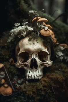 there is a skull with mushrooms on it's head and in the middle of some moss