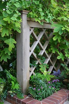 an image of a wooden trellis in the middle of some bushes and plants with text that reads save