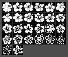 the hawaiian flower stencil is shown in black and white, which includes four different flowers