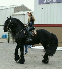 a woman riding on the back of a black horse