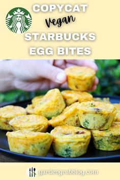 Copycat Starbucks vegan egg bites with vegan bacon, vegan cheddar cheese, broccoli. I used Just Egg to make the base of the egg bites! Vegan Just Egg Copycat Recipe, Just Egg Bites, Just Egg Vegan Recipes, Just Egg Recipes, Broccoli Cheddar Bites, Starbucks Egg Bites Recipe, Vegan Starbucks, Cheese And Broccoli