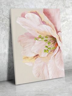 a pink flower on a white background is featured in this image, with the light colored petals