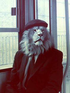 a lion wearing a suit and tie sitting in front of a window with a hat on it's head