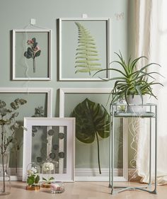 some plants are sitting on a table in front of pictures and framed art hanging on the wall