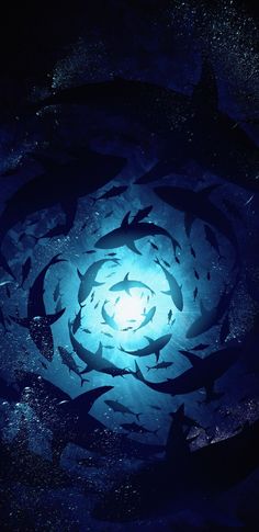 a large group of fish swimming in the ocean at night time, surrounded by water bubbles