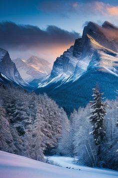 the mountains are covered in snow and trees