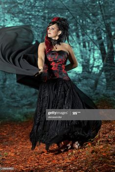 Goth queen : Stock Photo Goth Queen, Goth Women, Quotes About Photography, Fantasy Costumes, Magic Art, Free Stock Photos Image