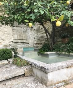 an outdoor fountain surrounded by stone steps and fruit trees in the background, with water running through it