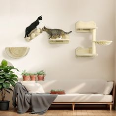 two cats are playing on the cat tree in this living room with white furniture and potted plants