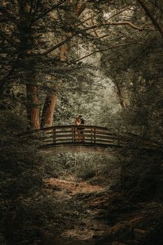 A beautiful Engagement Photo on an arched bridge in the Botanical Gardens of Asheville. Asheville Botanical Gardens, Fairy Core Engagement Photos, Railroad Engagement Photos, Ethereal Engagement Photoshoot, Woodland Engagement Shoot, Fairycore Engagement Photos, English Countryside Photoshoot, Twilight Inspired Engagement Photos, Victorian Engagement Photos