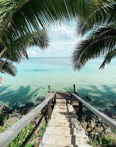 a wooden walkway leading to the ocean with palm trees on either side and clear blue water in the background