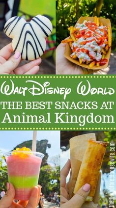 the best snacks at animal kingdom