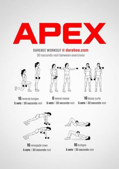 an exercise poster with instructions on how to use the apexx exercises for strength and flexibility