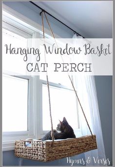 a cat sitting in a hanging window basket with the words hanging window basket cat perch above it