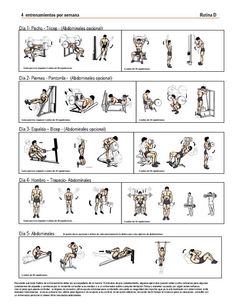 an exercise manual with instructions for the bench press and dumbbles squatting exercises