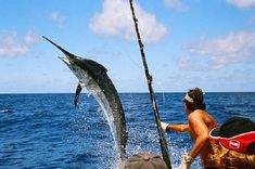 a man on a boat with a big fish in the water and another guy holding a fishing pole