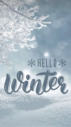 the words hello winter are in front of snow covered trees