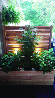 a wooden planter filled with lots of plants on top of a deck next to a fence