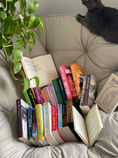 a cat laying on top of a couch next to a pile of books