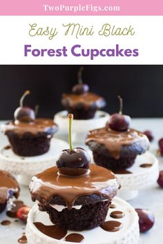 mini black forest cupcakes with chocolate frosting and cherries on top are shown