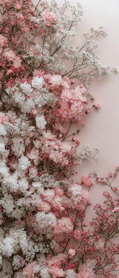 pink and white flowers against a pale background