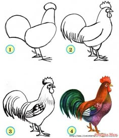 how to draw a rooster step by step