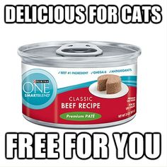 a can of cat food with the caption, delicious for cats free for you