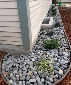 some rocks and plants in front of a house with a white siding on the side