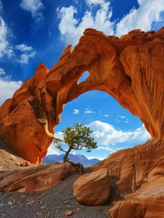 an arch shaped rock formation with a tree growing out of it's center and blue sky in the background