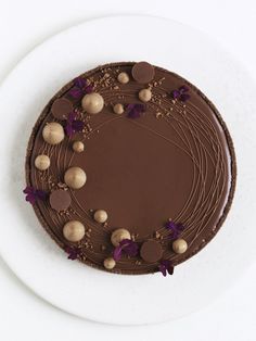 a chocolate cake sitting on top of a white plate with purple flowers around the edges