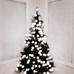 a small christmas tree is lit up with white lights