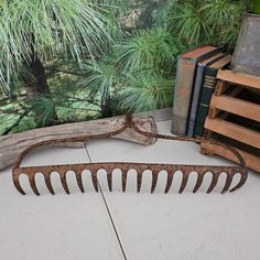 an old rusty rake sitting on the ground next to some books and a tree branch