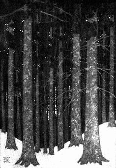 black and white photograph of trees in the snow