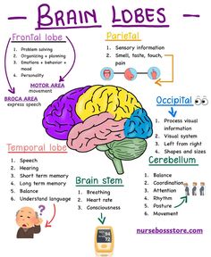 the brain and its functions are labeled in this diagram, which shows how it works