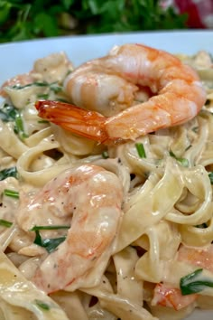 pasta with shrimp and spinach in a creamy sauce