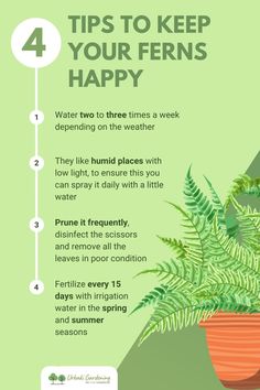 a plant with the words tips to keep your ferns happy