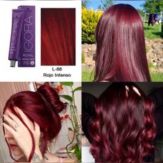 Black Hair Black Women, Igora Hair Color, Pelo Color Vino, Hair Color Swatches, Cherry Hair Colors, Wine Hair Color, Cherry Red Hair, Hair Black Women, Classic Wedding Hair